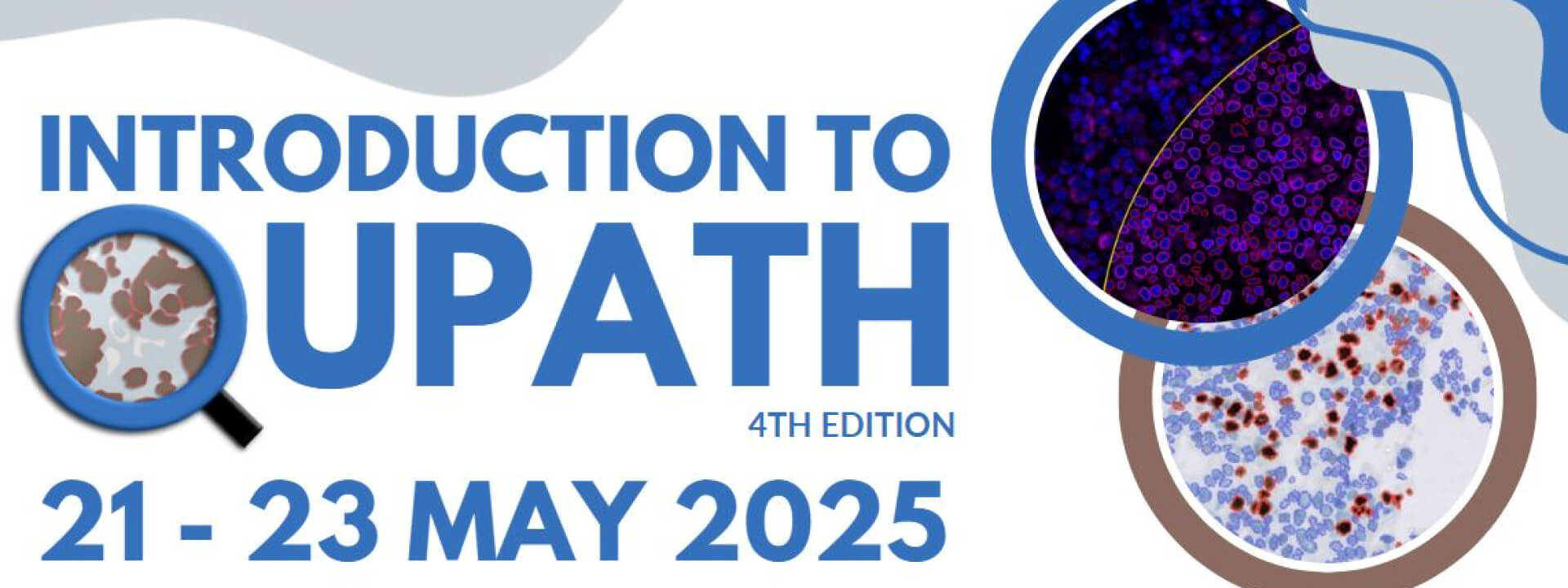 Introduction to QuPath 4th Edition cover image