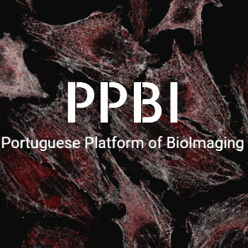 PPBI